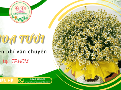 Hoa tươi chất lượng, miễn phí vận chuyển tại Shop hoa Bí Đỏ Quận 12