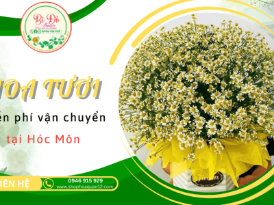 Hoa tươi chất lượng, miễn phí vận chuyển tại Shop hoa Bí Đỏ Hóc Môn