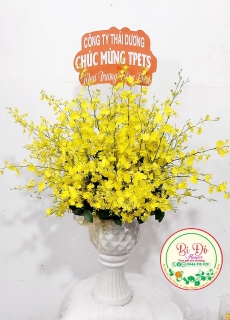 Hoa Chúc Mừng A01