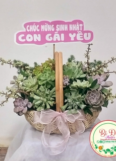 Hoa Chúc Mừng B04