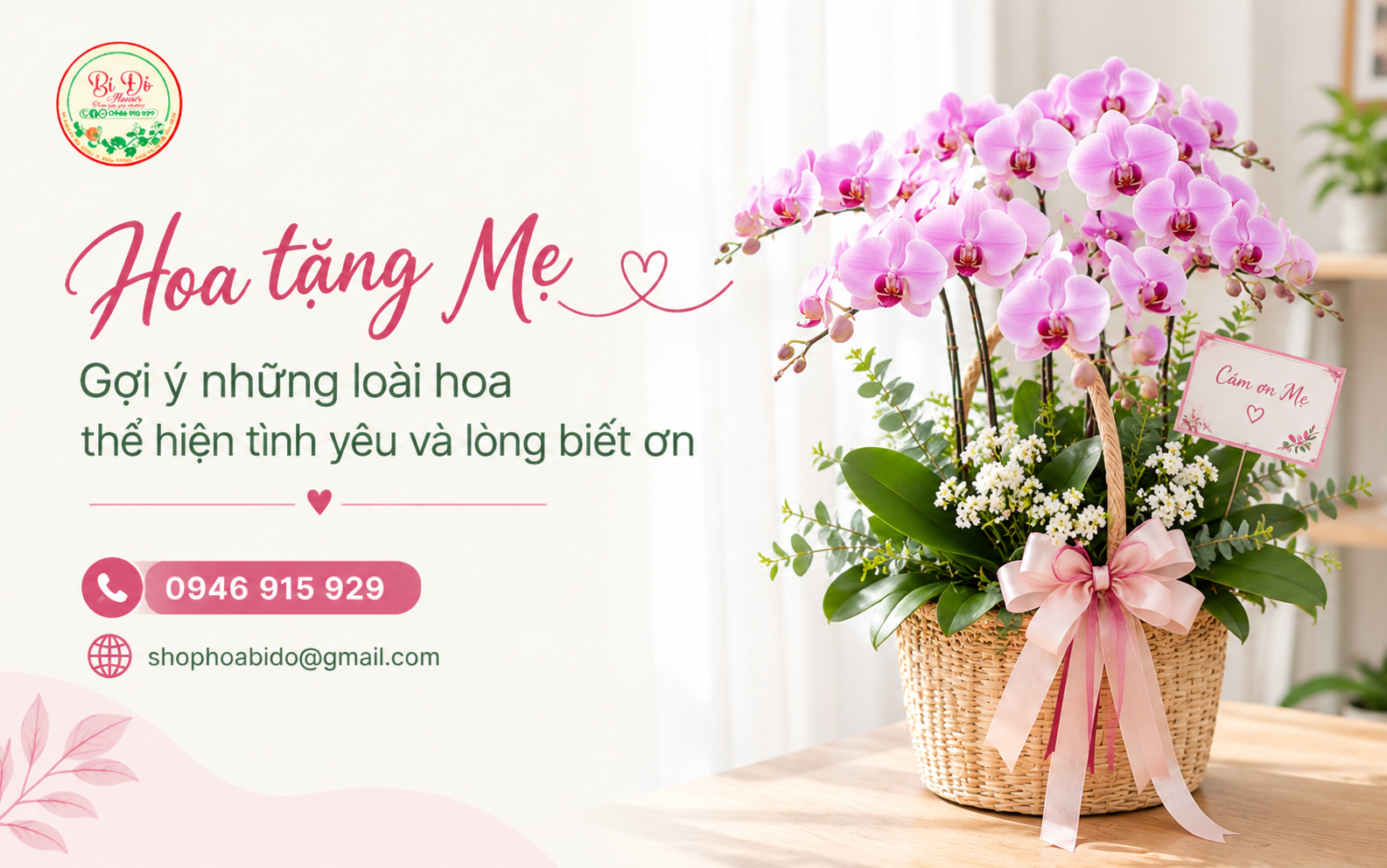 Hoa lan – Một món quà thanh tao, thay lời con gửi trọn sự trân trọng đến Mẹ