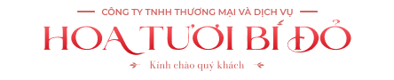 Shop Bí Đỏ  | Shop Hoa Quận 12