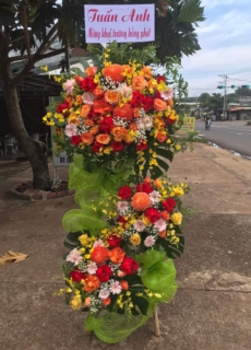 HOA CHÚC MỪNG - 09